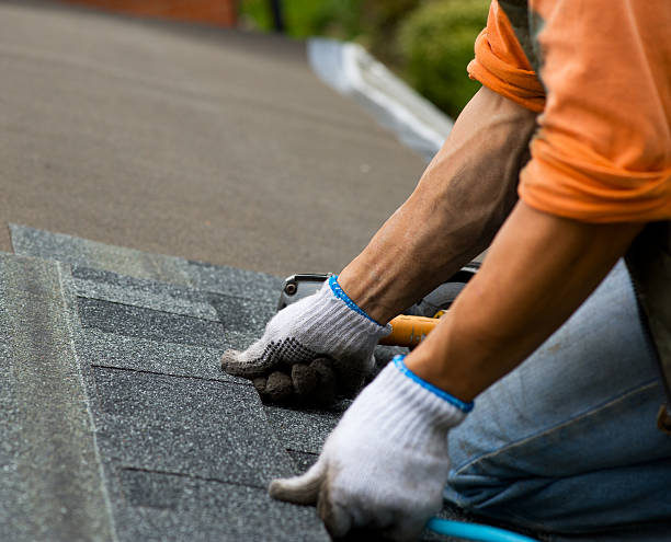 Best Metal Roofing Contractor  in Twin Falls, ID